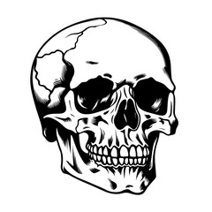 Intricate Skull Design Vector Illustration