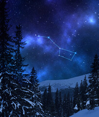 Great Bear (Ursa Major) constellation in starry sky over conifer forest and mountain at night
