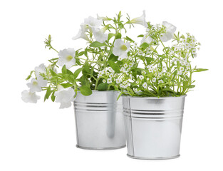 Different flowers in metal pots isolated on white