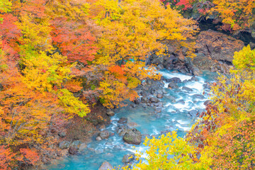 松川渓谷の紅葉