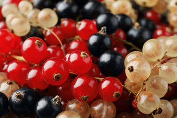 Different fresh ripe currants as background, closeup
