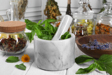 Mortar with pestle and many different medicinal herbs on white wooden table, closeup