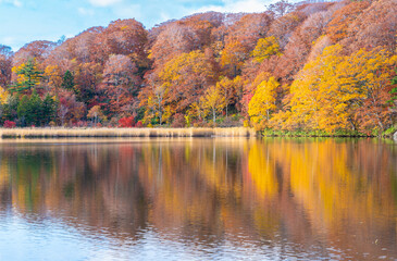 八幡平大沼の紅葉