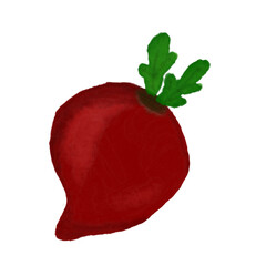 Beet watercolor. Fresh purple beetroot water color sketch with green leaves isolated on white, beets vegetable colorful paint for salad vector illustration