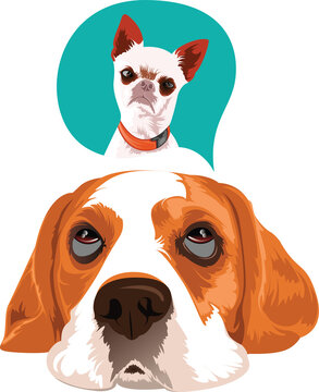 Boxer Color Peeking Dogs. Color image of a dogs head isolated on a white background. Dog portrait, Vector illustration
