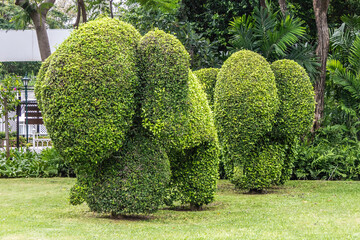 Topiary elephants, Hua Hin , Thailand