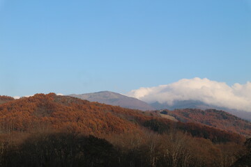 Majestic mountain forest and ski slopes in the beautiful autumn landscape in nagano Japan.