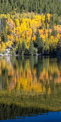 Bear Lake Autumn Mirror Vertical Panorama