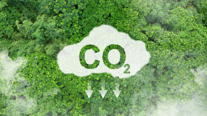 Reduce greenhouse gas emission concept. Carbon footprint climate change and sustainable. CO2...