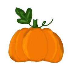Vector Pumpkin With Watercolor and Ink Elements