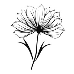 Flower Plant Twig Beautiful Fragrant Blooms Wallpaper Design Abstract Line Art Background Graphic