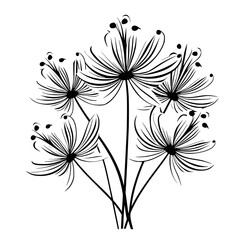 Flower Plant Twig Beautiful Fragrant Blooms Wallpaper Design Abstract Line Art Background Graphic