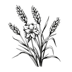 Flower Plant Twig Beautiful Fragrant Blooms Wallpaper Design Abstract Line Art Background Graphic