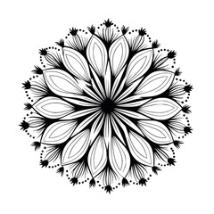 Flower Plant Twig Beautiful Fragrant Blooms Wallpaper Design Abstract Line Art Background Graphic