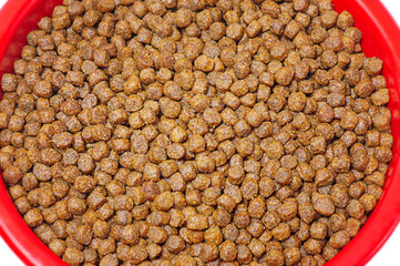 Dog or cat food in red plastic bowl isolate on white background. Dry pellets for animal feed.