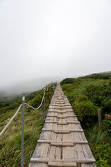 大山夏山登山道