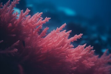 Naklejka na ściany i meble A vivid portrayal of a coral reef, showcasing a spectrum of colors and the intricate biodiversity of marine life. The image captures the richness and vibrancy of the underwater ecosystem. 