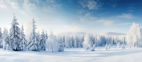 Foto op Plexiglas Hemelsblauw On a beautiful winter day, the snow-covered forest glistened under the blue sky as nature's delicate touch transformed the landscape into a stunning Christmas scene, where the white trees and icy wood