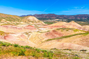 Painted Hills Cloaked In Green