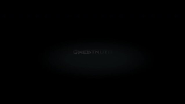 Chestnuts 3D title metal text on black alpha channel background