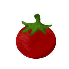 tomato hand drawn with watercolor painting style illustration