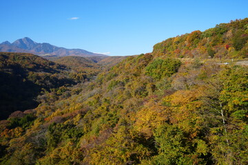 Autumn Landscape of Yatsugatake in Yamanashi, Japan - 日本 山梨県 八ヶ岳 紅葉