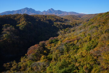 Fototapeta premium Autumn Landscape of Yatsugatake in Yamanashi, Japan - 日本 山梨県 八ヶ岳 紅葉