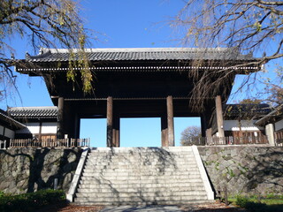 11月の東郷寺山門
