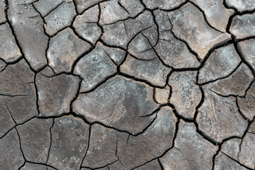 you scream in lake mud dried up by drought