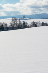 北海道美瑛町　美瑛の丘の雪景色