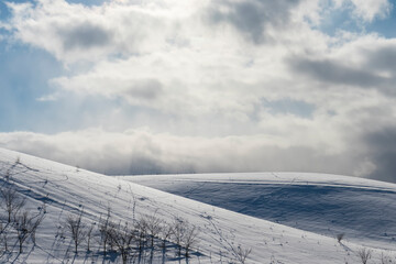 北海道美瑛町 美瑛の丘の雪景色