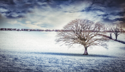 Digital png illustration of meadow with snow on transparent background