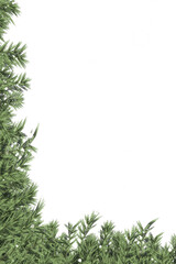 Fototapeta na wymiar Digital png photo of fir tree and snow falling on transparent background