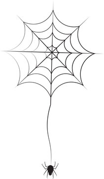 Digital png illustration of black spider and web on transparent background