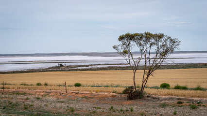 Lake Tyrrell in rural Victoria, Australia