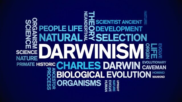Darwinism animated tag word cloud;text design animation kinetic typography seamless loop.