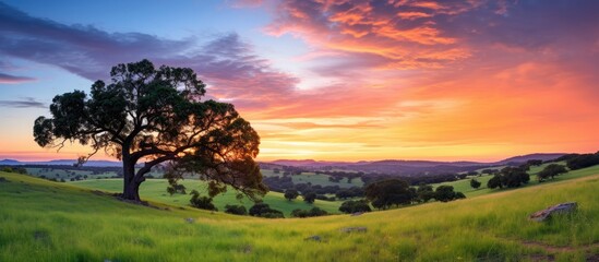 As the sun slowly sets on the horizon, the sky transforms into a breathtaking canvas of vibrant hues, casting a warm glow on the natural landscape of rolling grassy fields and towering trees adorned