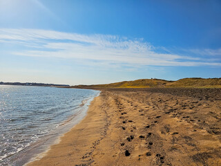해변을 걷다(walk on the beach)