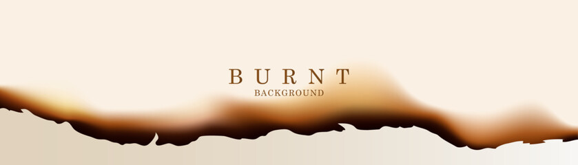 Paper with burnt hole background design. Burnt background vector design.