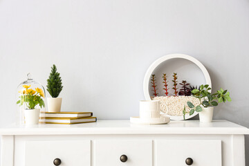 Different houseplants, books and cup on table near white wall
