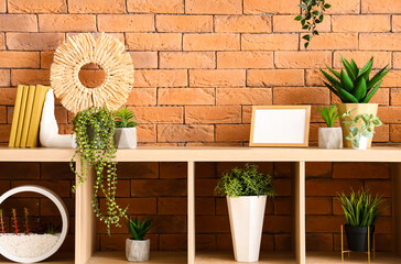 Shelving unit with different houseplants, books and blank photo frame near brown brick wall