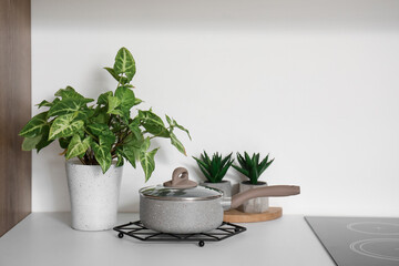 cooking pot and houseplants on white counter in kitchen