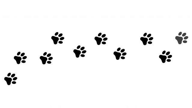 Dog walking paw print animation video, Footprints walking animal on green screen 4K Resolution