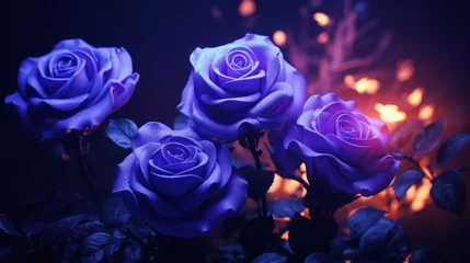 Ingelijste posters Purple roses on dark background © tashechka