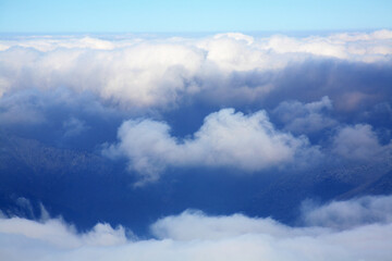 mountain shrouded in mist