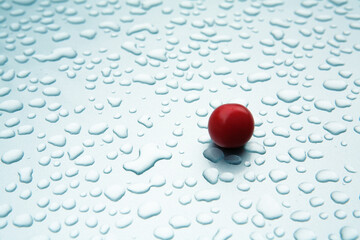 raindrops on the bonnet and cherry tomato