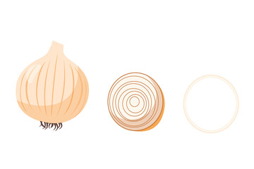 Onion. set in cartoon style. Isolated vegetables.