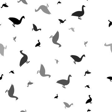 Seamless vector pattern with goose symbols, creating a creative monochrome background with rotated elements. Illustration on transparent background