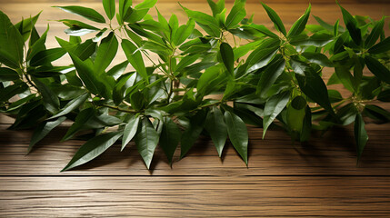Obraz premium plant on wooden background