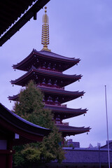 Japan sensoji temple